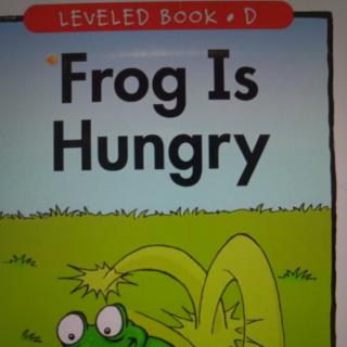 Frog is hungry