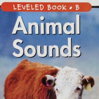 Animal sounds