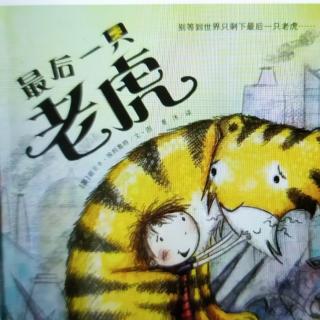 最后一只老虎🐯