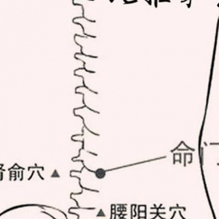 小儿推拿---腰背部命门