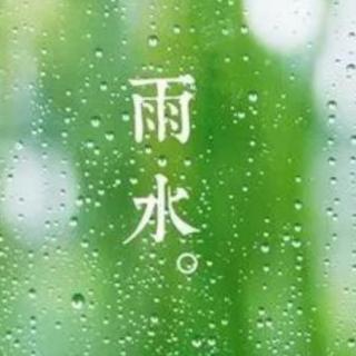 雨水∽雷阵雨🌧️《雨水感触》💦