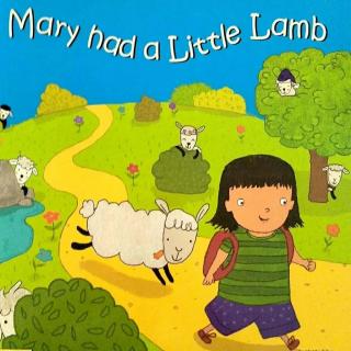 【旺旺电台】玛丽有一只小羊羔🐏