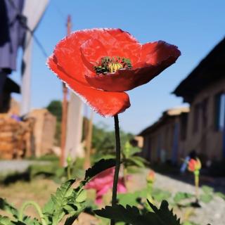 莲花经幡