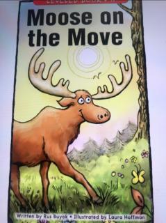 Moose on the move(Annie)