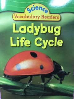 Science Vocabulary Readers - Ladybug Life Cycle