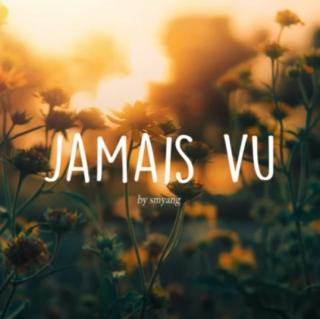 音乐盒‖Jamais Vu