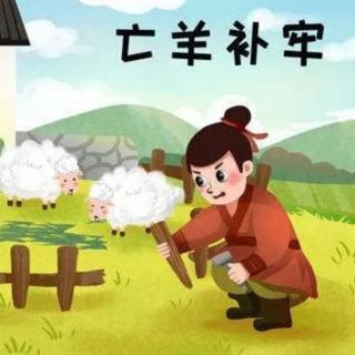 成语故事——亡羊🐑补牢