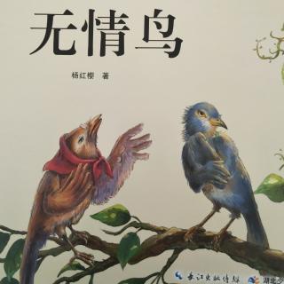 《无情鸟》――主播桃子姐姐