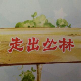 熊出没之走出丛林