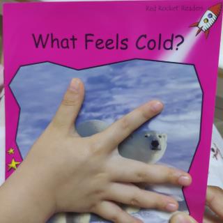 红火箭What feels cold?