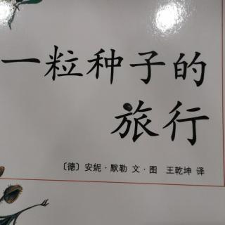 一粒种子的旅行