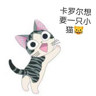 卡罗尔想要一只小猫🐱