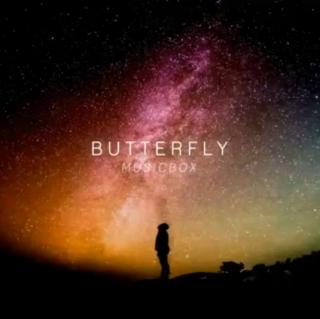 音乐盒‖Butterfly