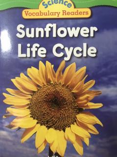 Science Vocabulary Readers - Sunflower Life Cycle