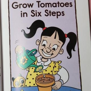 Grow Tomatoes in six Steps