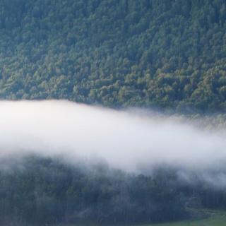 峨眉山月歌-李白/江南逢李龟年-杜甫