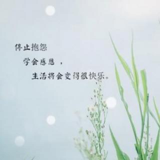 《建设“无怨”的品质》   巧克力蜜