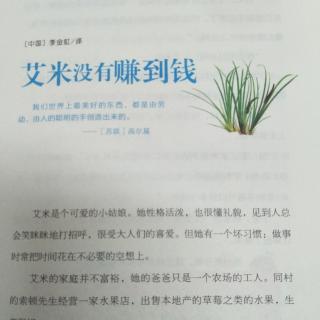 艾米没有赚到钱