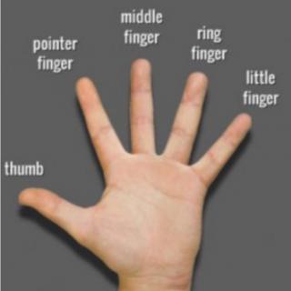 手指的英语不仅仅是finger哦！五根手指的英语到底怎么说？
