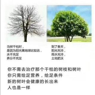 预防医学的三个阶段