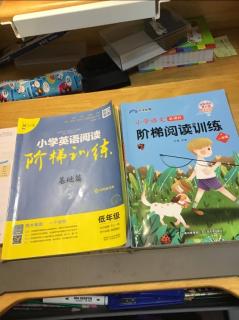 小学英语阅读阶梯训练和小学语文阶梯阅读训练。