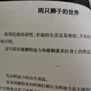 文青导读《狮子的世界》