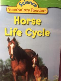 Science Vocabulary Readers - Horse Life Cycle