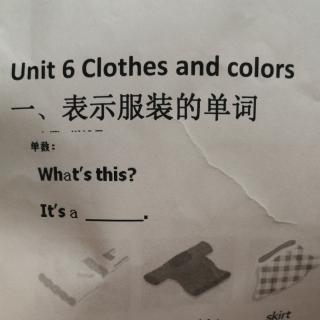 Unit 6 Clothes and colors