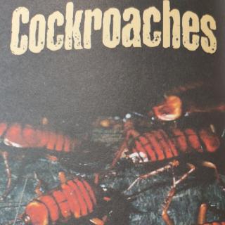 Cockroaches