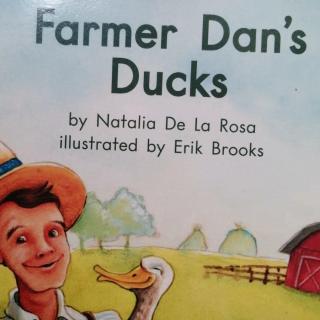 Farmers Dan's ducks