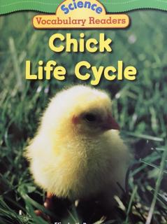 Science Vocabulary Readers - Chick Life Cycle