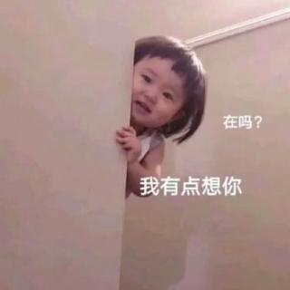 葉子從哪里來