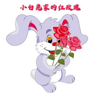 【海贝睡前故事】园长妈妈睡前故事105《小白兔🐰家的红玫瑰🌹》