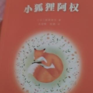 小狐狸阿权(五，六)