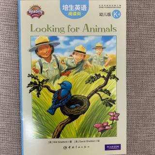 Looking for Animals