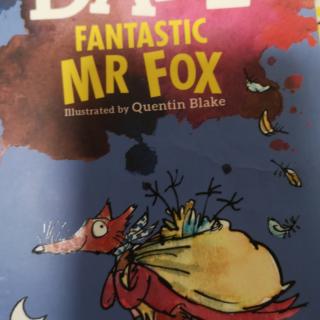 11. A Surprise for Mrs Fox by Darcy