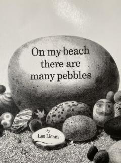 Ni 【Vol 44】On My Beach There are Many pebbles（SL 1C）