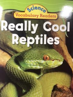 Science Vocabulary Readers- Really Cool Reptiles