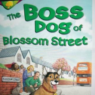 The Boss Dog of Blossom Street