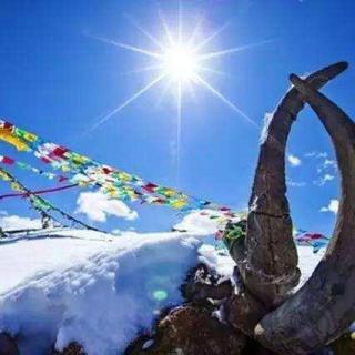 西藏的阳光