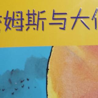 詹姆斯与大仙桃22