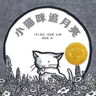 苗妈讲故事｜NO.935《小猫咪追月亮》