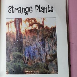 Strange plants