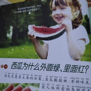 29－十万个为什么之🍉为何外绿里红