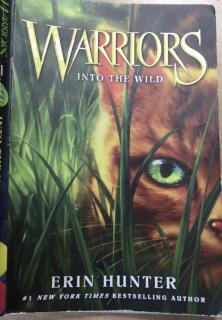 Warriors into the wild chapter 5--Eric