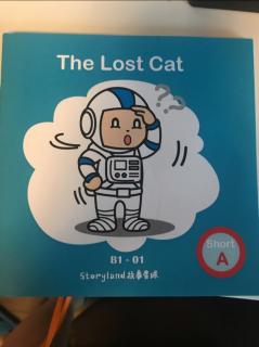 The Lost Cat