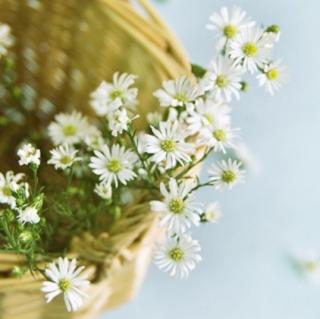 《丁香花开的夜晚》