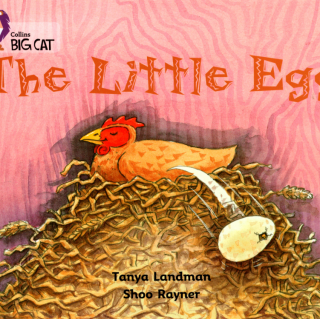 The Little Egg