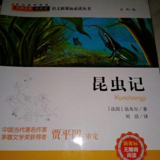 昆虫记  螳螂—挥舞着镰刀的斗士