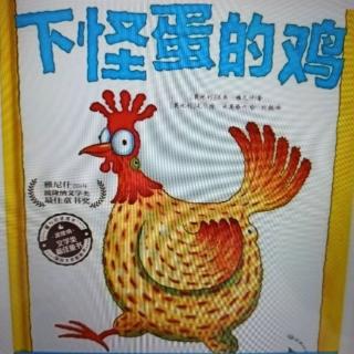 下怪蛋的鸡🐔